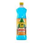Desinfetante Diluível Pinho Sol Perfumado Flor de Mandacaru 1000ml