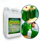 Desinfetante Líquido Perfumado Bactericida Campestre/Eucalipto Limpeza Uso Geral - 5 Litros 5L - Unidade