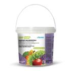 Desinfetante para Hortifrutícolas Chef-Sanitiz 1kg Renko Profissional Restaurantes Legumes, Frutas e Verduras