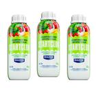 Desinfetante Sanitizante P Verduras Legumes E Frutas Kit 3