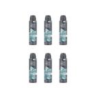 Desodorante Aero Dove 150Ml Masc Eucalipto - Kit Com 6Un