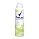 Desodorante Antitranspirante Feminino Aerosol Erva Doce 90g - Rexona