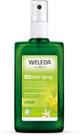 Desodorante Citrus 24h Spray Weleda - 100ml