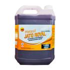 Detergente Acido Metasil Jato Royal 5 Litros