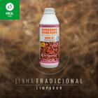 Detergente Bert-27 (1 Litro) - Bellinzoni