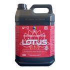 Detergente Concentrado Tapete e Carpete Fix Flot 5l G&S Lótus