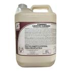 Detergente Desengordurante Foaming Caustic Cleaner Spartan 5l