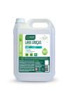 Detergente Lava Louças Menta Biodegradável Biowash 5L
