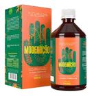 Detox Moderação-Digestivo 100% Natural-Imunidade-500ml