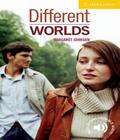 DIFFERENT WORLDS - LEVEL 2 -