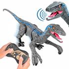 Dinossauro De Controle Remoto Divertido Boneco Velociraptor Som Luz Movimento