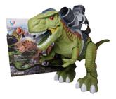 Jogo Equilibra a Bolinha Dinossauro Estimula Coordenação Motora DMT6060 -  Dm Toys - Brinquedos Educativos - Magazine Luiza