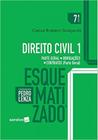 Direito Civil: Parte Geral, Obrigações, Contratos - Vol.1 - Coleção Esquematizado