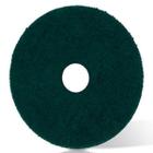 Disco Pad Verde 510mm Lavadora De Piso Karcher Original Lavagem Pesada