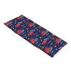 Disney Cars Navy e Red Preschool Nap Pad Sheet