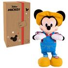 brinquedo pelucia disney mickey em Promoção no Magazine Luiza