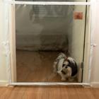 Dog Door Mabuu Tela de Proteção para Portas - 130 cm x 90 cm - Branco