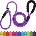 Dog Leash TagMe Slip Lead, nylon reflexivo de 6 pés para pequenos e médicos