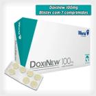 DoxiNew 100 mg World para Cães de 20Kg e Gatos de 5Kg - 1 Blíster com 7 Comprimidos