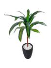 Dracena Planta Artificial Muda Variegata Vaso Decorção - Flor de Mentirinha