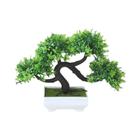 Dragão Bigode Árvore Bonsai Artificial Planta Verde Escritório Decoração De Mesa Criativa Decoração - others