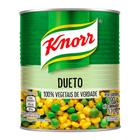 Dueto Knorr Lata 170g - Embalagem c/ 24 unidades