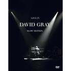 Dvd David Gray - Live In Slow Motion