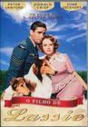 Dvd o filho de lassie - DVD VIDEO