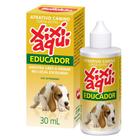 Educador Sanitário Bellokão Para Cães Xixi Aqui