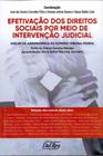 Efetivação dos Direitos Sociais Por Meio de Intervenção Judicial-01Ed/20 - DEL REY LIVRARIA E EDITORA