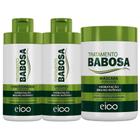 Eico Kit Tratamento Essencial Babosa - Trio Básico 1Kg (3 Pr