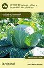 El suelo de cultivo y las condiciones climáticas. AGAC0108 - Cultivos herbáceos - IC Editorial
