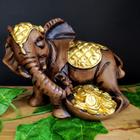 Elefante com moedas dourado 14cm