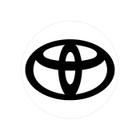 Emblema Calota Resinado 48mm Prata preto Universal Toyota Ate 2000 Nk-138406 - NEW KAR