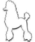 Emblema Poodle Cromado