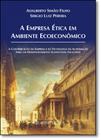 Empresa Ética em Ambiente Ecoeconômico, A