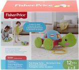 Empurra Tartaruga, Fisher Price, Mattel, Verde