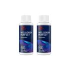 Emulsão Welloxon Ox Perfect 60ml 20Vol - Kit C/ 2un