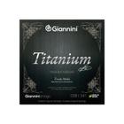 Encordoamento Giannini Titanium Violão 85/15 Prateado GENWTM