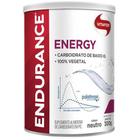 Endurance Energy Palatinose Para Atletas Vitafor 300G