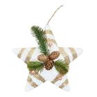 Ponteira Grande Estrela Decoração Enfeite Árvore Natal 28cm - Imp -  Enfeites para Árvore de Natal - Magazine Luiza
