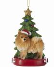 Enfeite de árvore de Natal Kurt S. Adler Pomeranian Resin