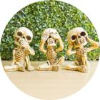 Enfeite Decorativo Trio De Caveira Criativo Skull Esqueleto Resina Decoração Sala Quarto Nicho Estante Escritório Casa