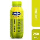 Engov After 250ml Sabor Citrus Recupera