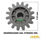 Engrenagem Motor Deslizante Agl Strong Industrial 16 Dentes (3855)