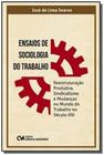 Ensaios De Sociologia Do Trabalho