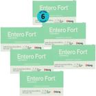 Entero Fort 2000Mg Com 60 Comprimidos Cães E Gatos Kit Com 6