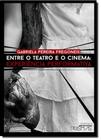 Entre o Teatro e o Cinema: Experiência Performativa - PRISMAS