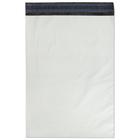 Envelope de Seguranca Coex 20X30CM BC/PT PCT C/20