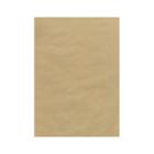 Envelope saco kraft nat 80gr 176x250 pt/250 celucat